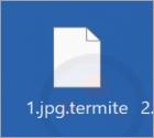 Termite Ransomware
