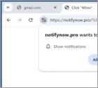 Notifynow.pro Reklamy
