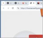 Attempt To Log Into Your Gmail Account Oszustwo