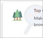 Przekierowanie topgreenview.com