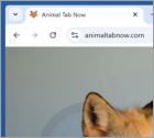 Animaltabnow.com Przekierowanie
