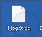 Dark 101 Ransomware