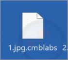 CmbLabs Ransomware