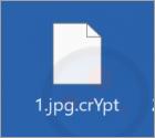 Cloak Ransomware