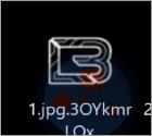 Orion Hackers Ransomware
