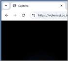 Volemist.co.in Reklamy