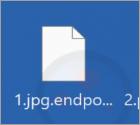 EndPoint Ransomware