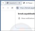 Sayadsleads.top Reklamy