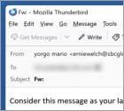 Oszustwo e-mailowe We Hacked Your System