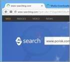 Przekierowanie www-searching.com