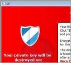 Wirus TeslaCrypt