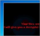 Ransomware Yakes