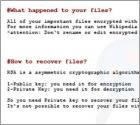 Ransomware Samsam