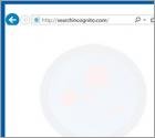 Przekierowanie searchincognito.com