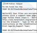 Ransomware CHIP