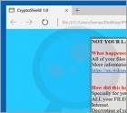 Ransomware CryptoShield