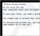 Ransomware Digisom