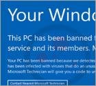 Oszustwo Your Windows Has Been Banned