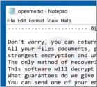 Ransomware Tfude