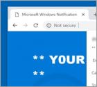 Oszustwo POP-UP Error Code XLMR01F7985