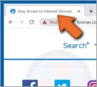 Porywacz przeglądarki Easy Access to Internet Services
