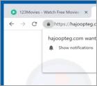 Przekierowanie POP-UP hajoopteg.com
