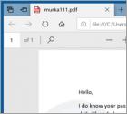 Oszustwo e-mailowe I Do Know Your Passwords (PDF)