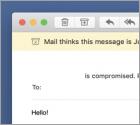 Oszustwo I'm A Programmer Who Cracked Your Email