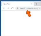 Porywacz przeglądarki Hotels Booking