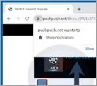 Reklamy pushpush.net