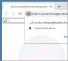 Porywacz przeglądarki SocialNewPages