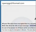 Ransomware PGP