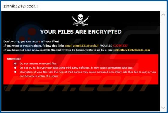 Ransomware ZIN