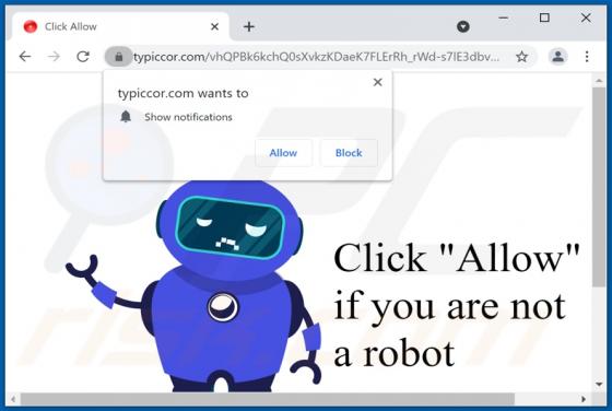 Reklamy typiccor.com