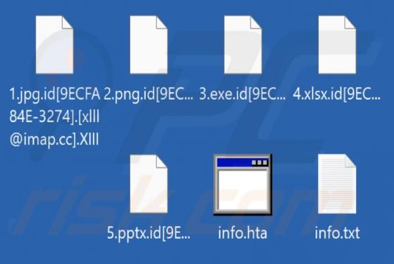 Ransomware XIII
