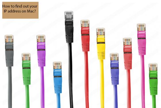 Jak znaleźć swój adres IP na komputerze Mac?