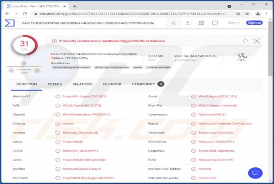 Malware RAT Borat