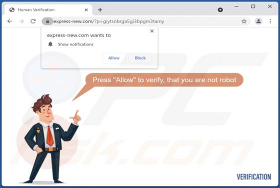 Reklamy express-new.com