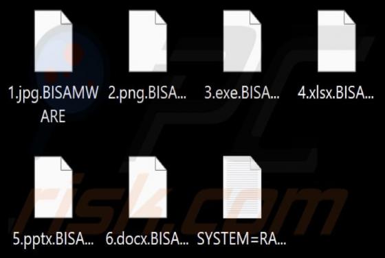 Ransomware BISAMWARE