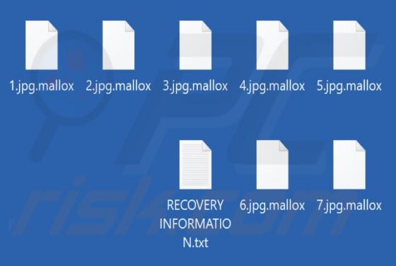 Ransomware Mallox
