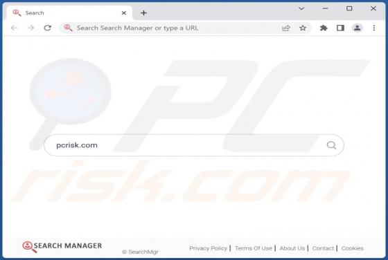 Porywacz przeglądarki Search-Mgr
