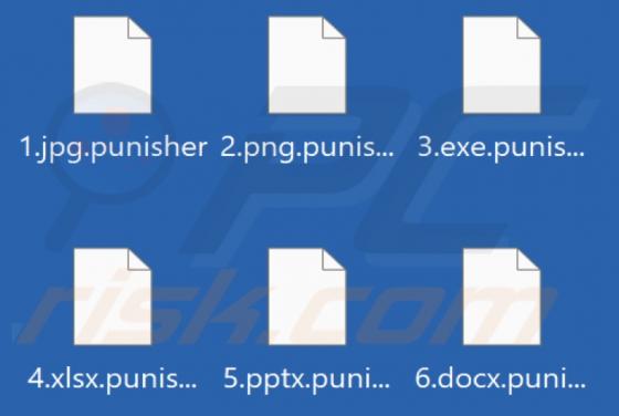 Ransomware Team Punisher