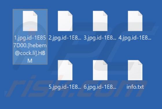 Ransomware HBM