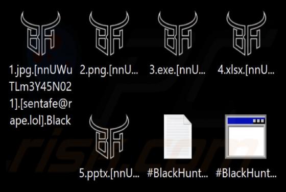 Ransomware Black Hunt