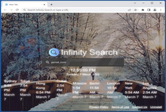 Porywacz przeglądarki Infinity Search