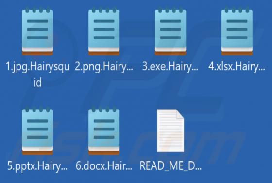 Ransomware Hairysquid