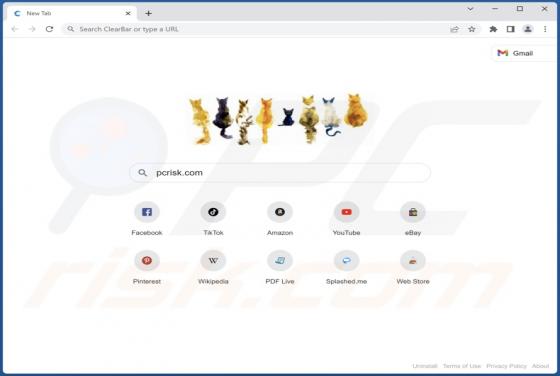 Adware ClearBrowser
