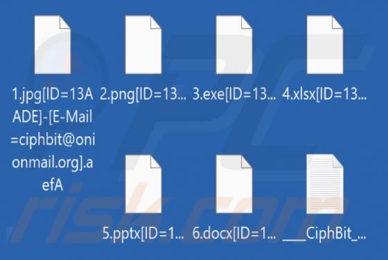 Ransomware CiphBit