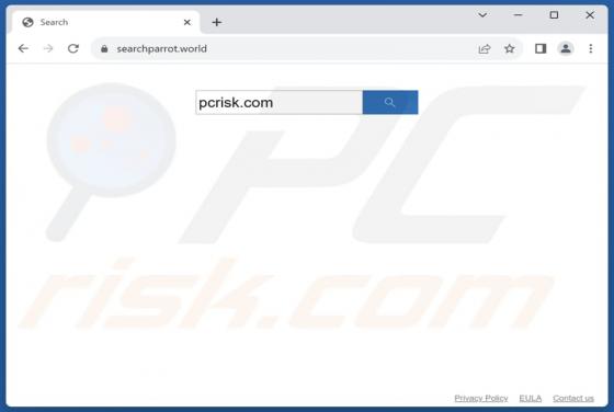 Przekierowanie searchparrot.world