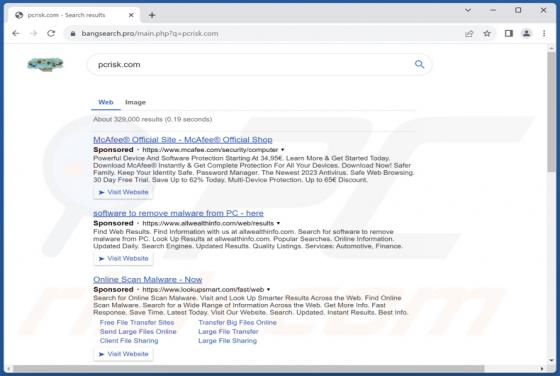 Przekierowanie bangsearch.pro